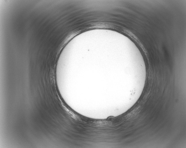 X0000051911433200507222056