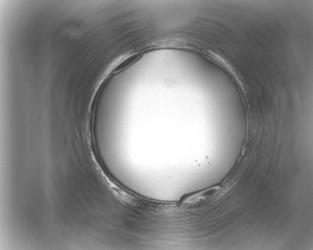 X0000051911434200507222056