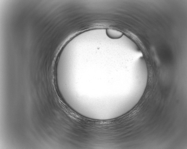 X0000051911435200507222056