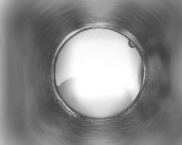 X0000051911436200507222056