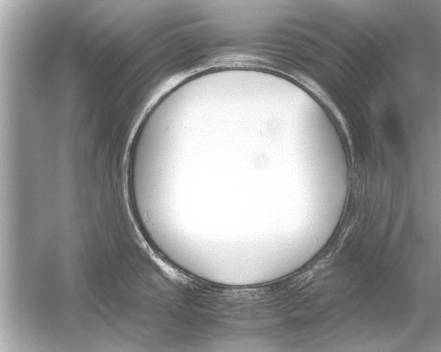 X0000051911437200507222056