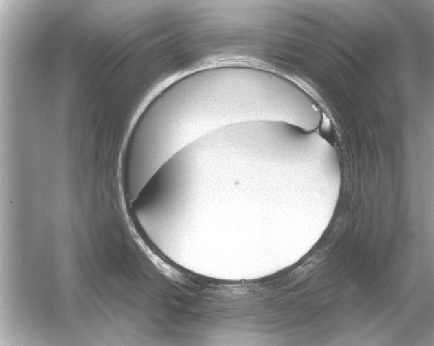 X0000051911438200507222056