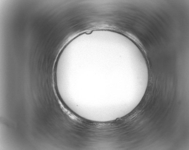 X0000051911439200507222056