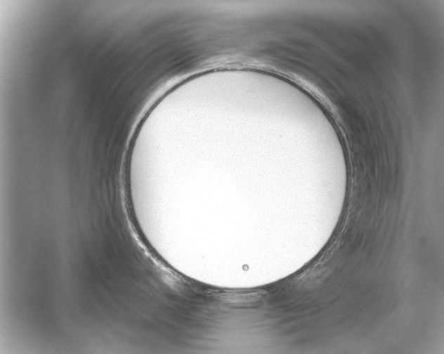 X0000051911440200507222056