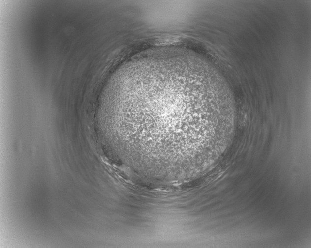 X0000051911441200507222056