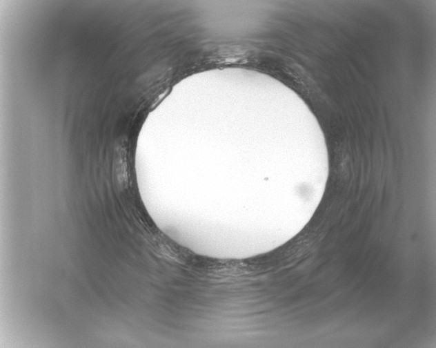 X0000051911442200507222056