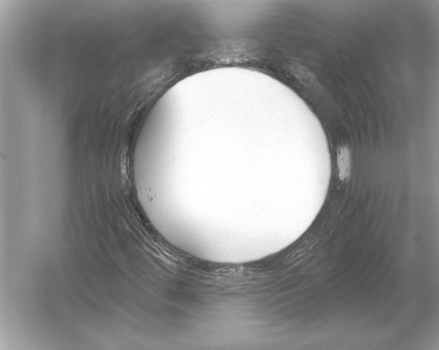 X0000051911444200507222056