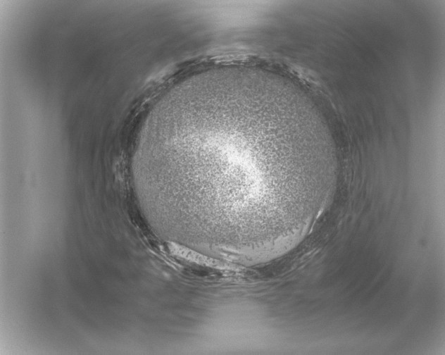 X0000051911445200507222056