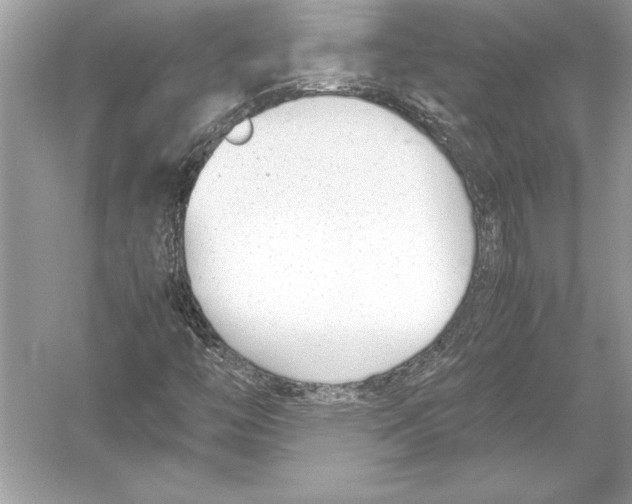 X0000051911446200507222056