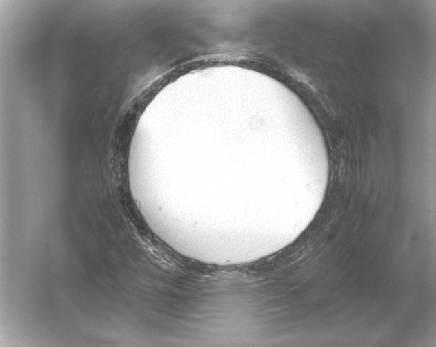 X0000051911448200507222056