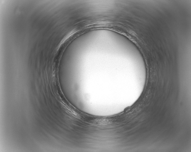 X0000051911450200507222056