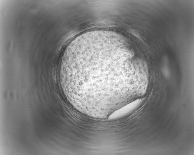 X0000051911451200507222055