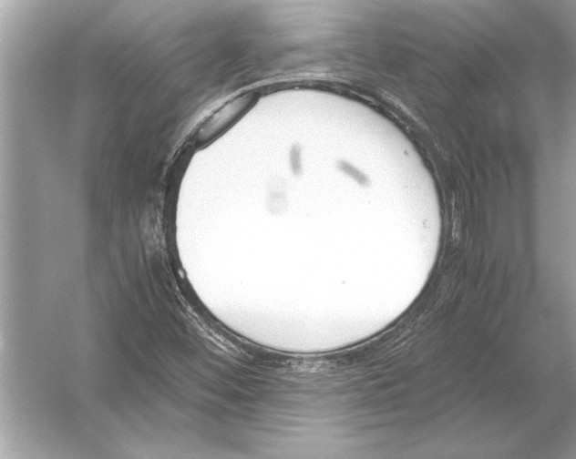 X0000051911452200507222055