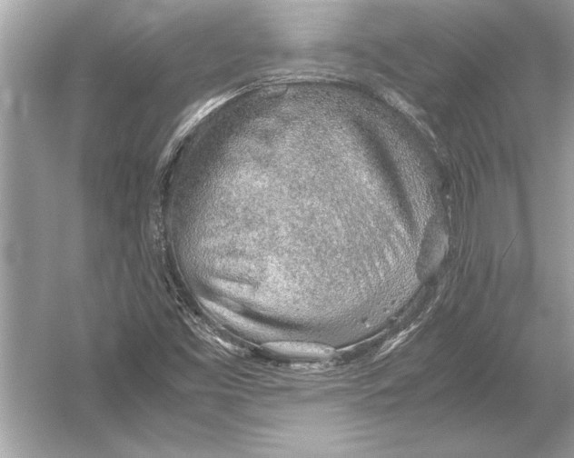 X0000051911453200507222055