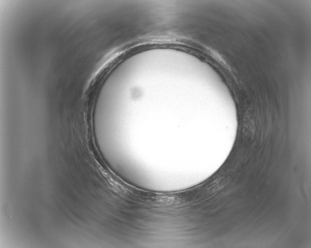 X0000051911456200507222055