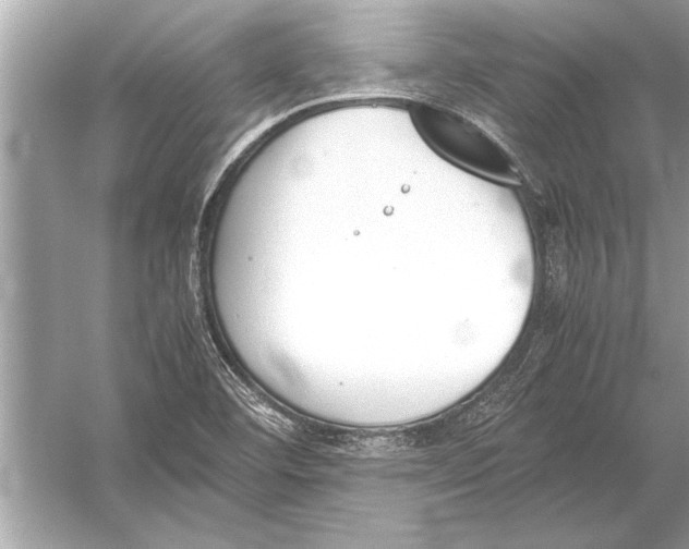 X0000051911460200507222055