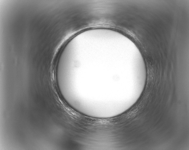 X0000051911462200507222055