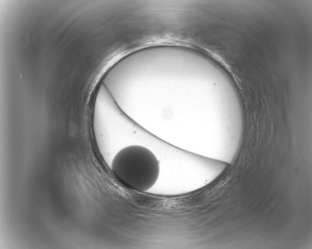 X0000051911463200507222055