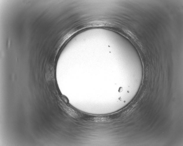 X0000051911465200507222055