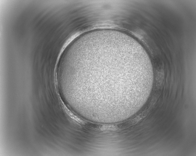 X0000051911466200507222055