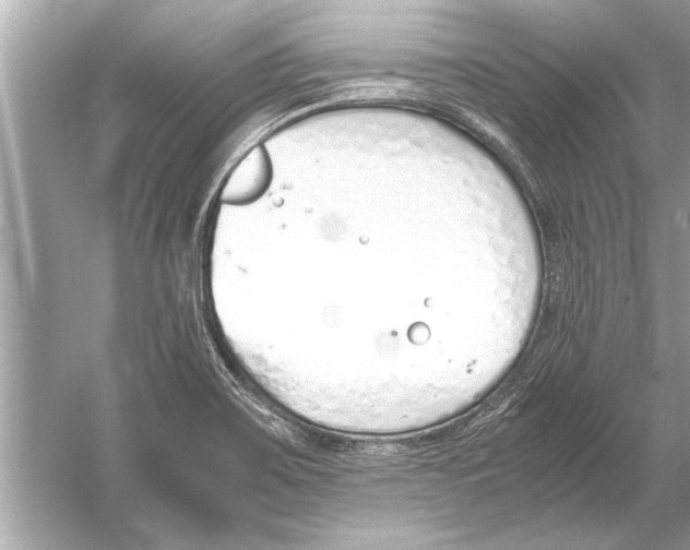 X0000051911467200507222055