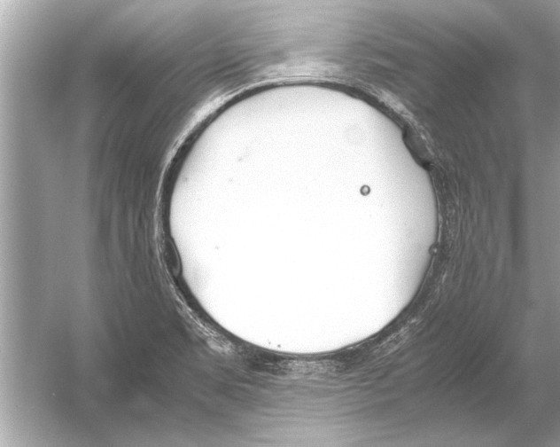 X0000051911469200507222055