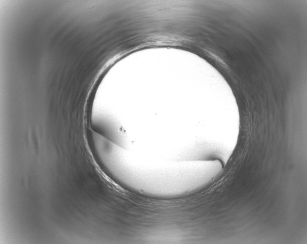 X0000051911471200507222055