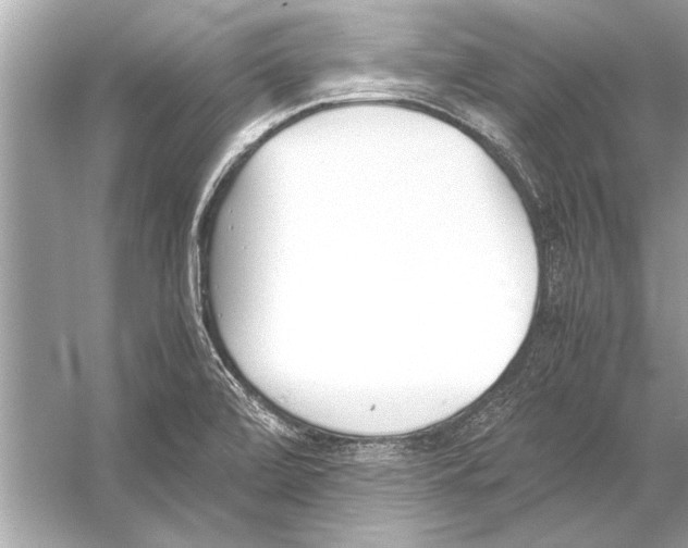 X0000051911472200507222055