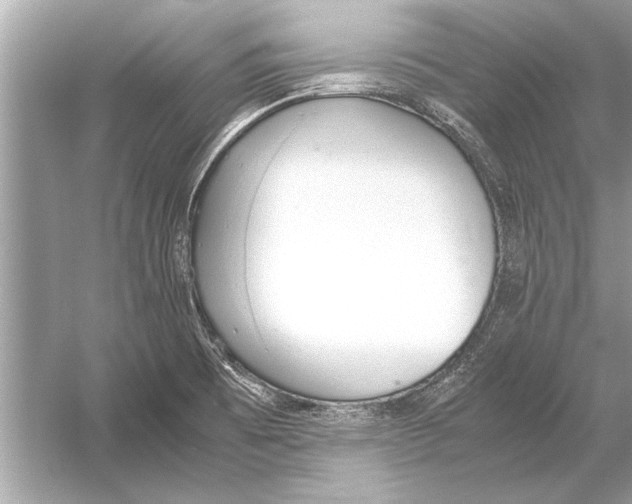 X0000051911473200507222055