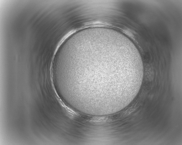 X0000051911474200507222055