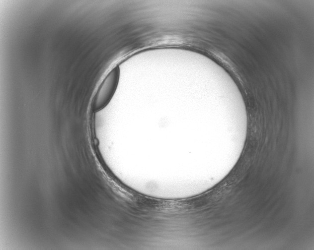 X0000051911475200507222055