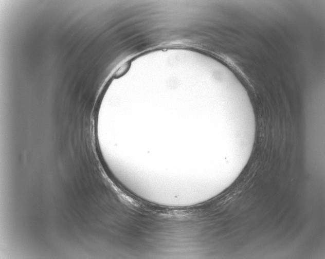 X0000051911476200507222055