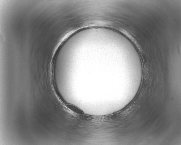 X0000051911477200507222055