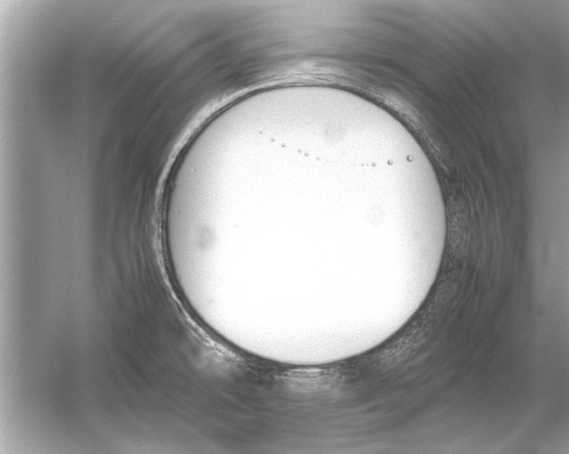 X0000051911478200507222055