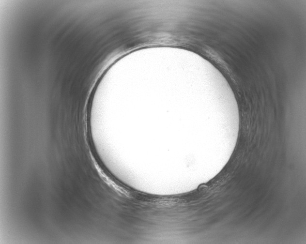 X0000051911479200507222055