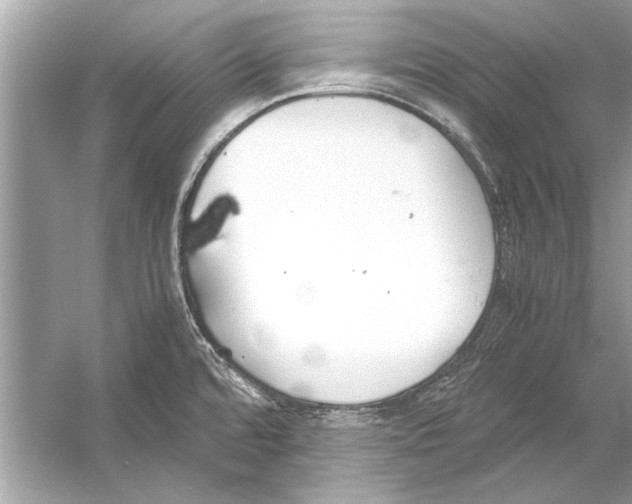 X0000051911480200507222055