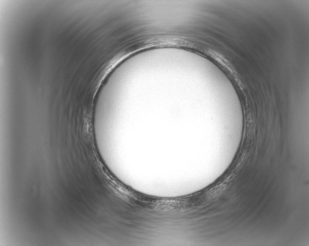 X0000051911481200507222055