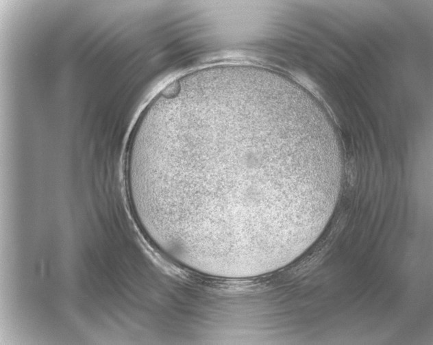 X0000051911482200507222055