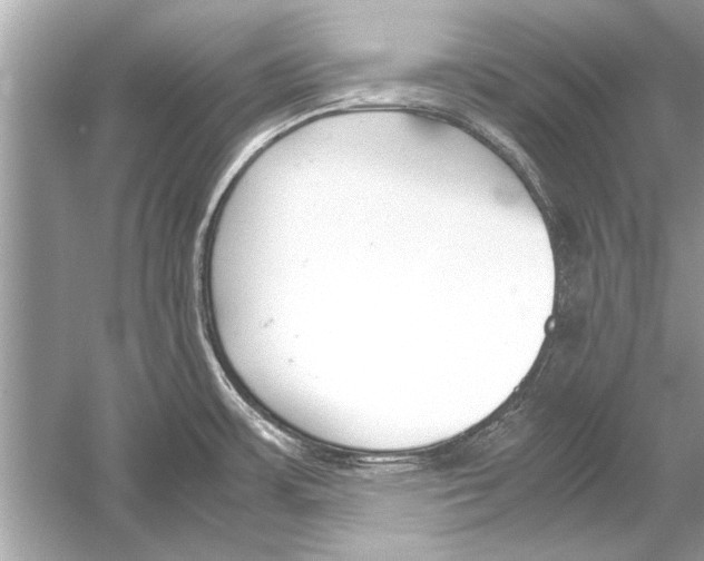 X0000051911483200507222055