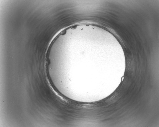 X0000051911484200507222055