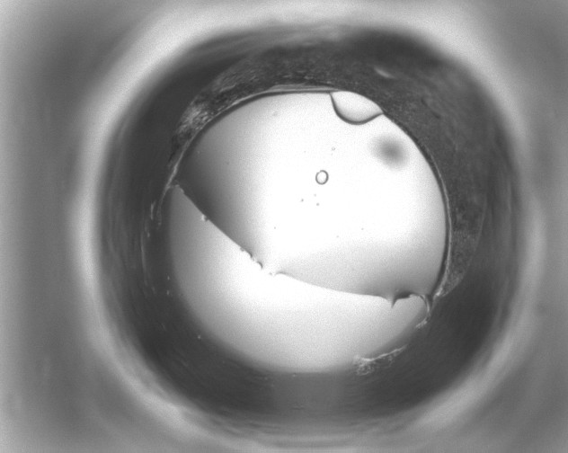 X0000051911487200507222055