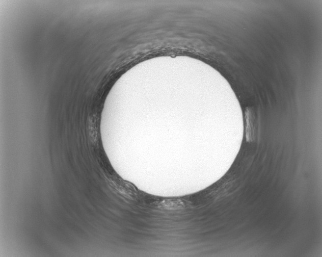 X0000051911491200507222054