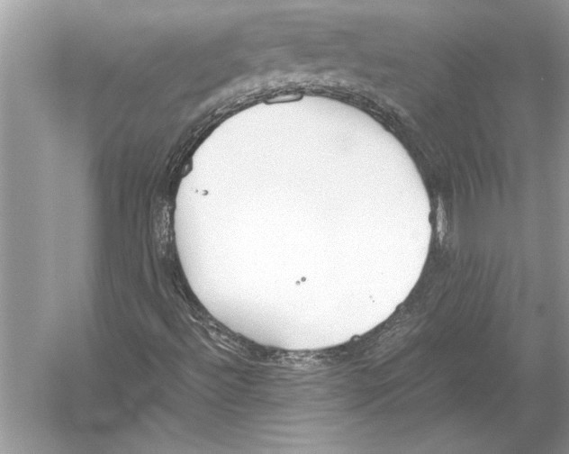 X0000051911492200507222054