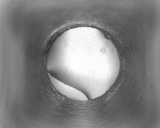 X0000051911494200507222054