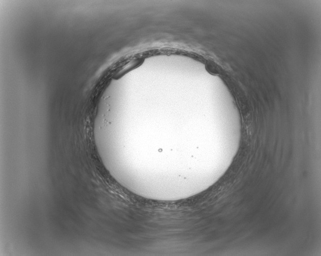 X0000051911495200507222054