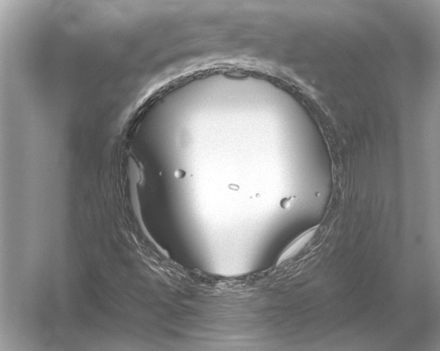 X0000051911496200507222054