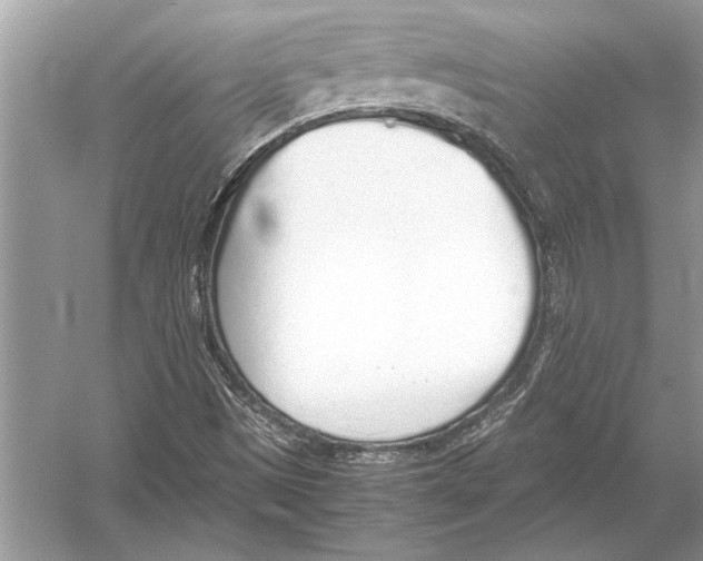 X0000051911497200507222054