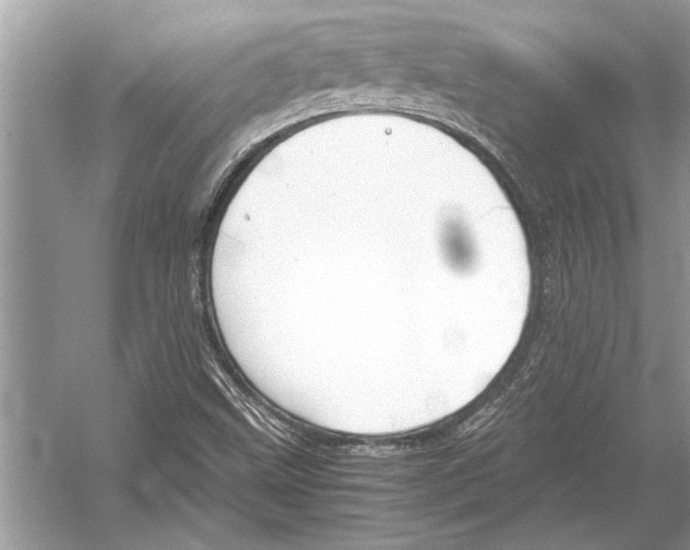 X0000051911499200507222054