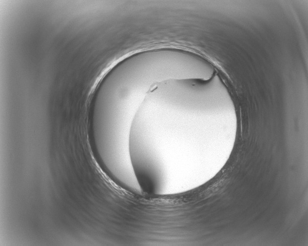 X0000051911500200507222054