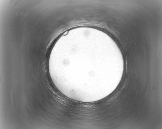 X0000051911501200507222054